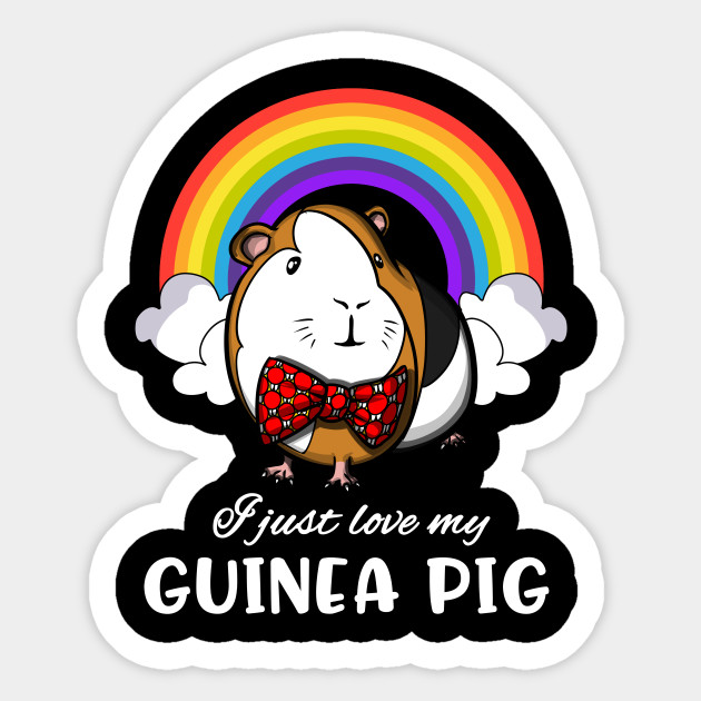 I Just Love My Guinea Pig Cute Rainbow Cavy Pet